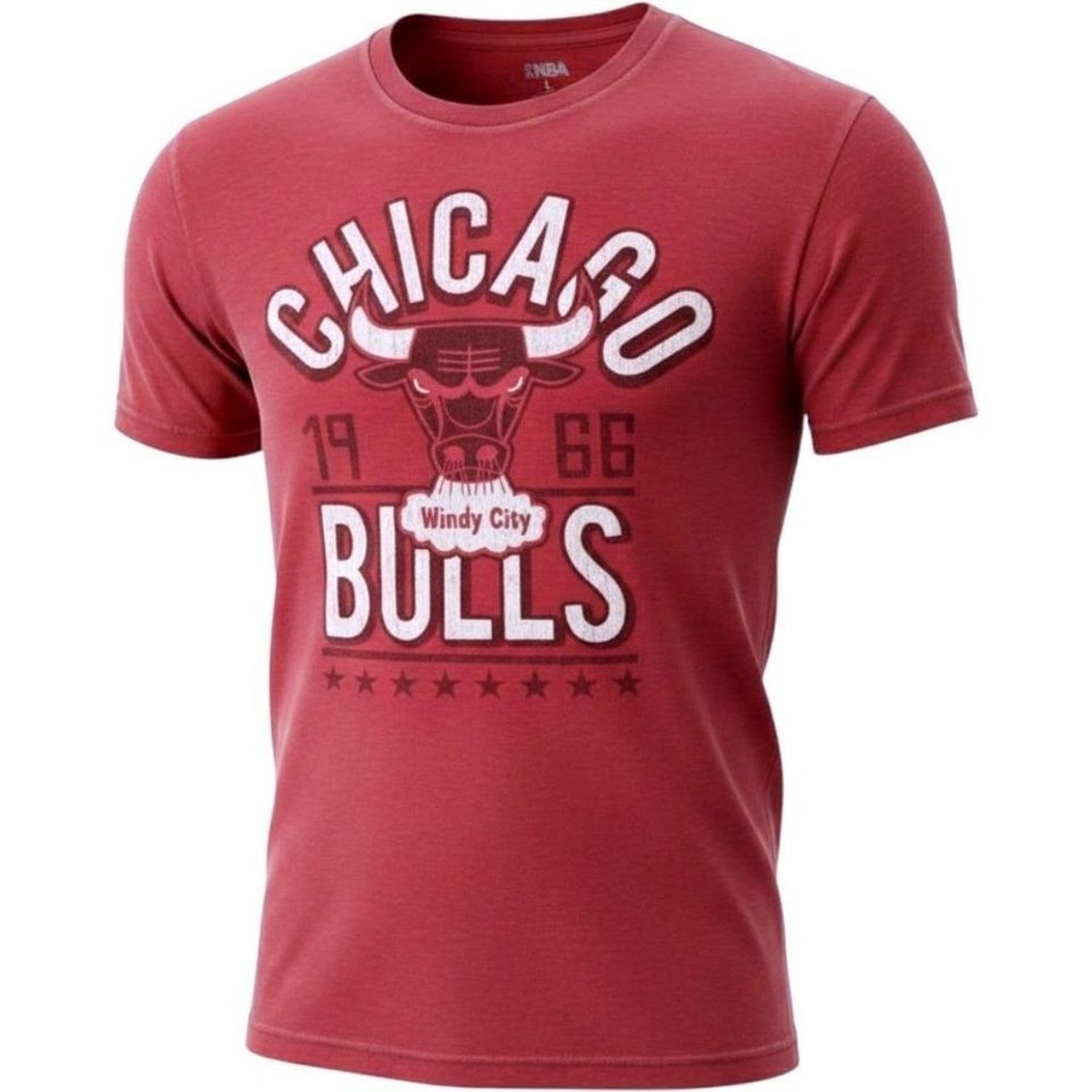 NBA Chicago Bulls Windy City Graphic T-Shirt Mens Large Red Heather Short Sleeve